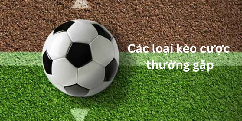 Một số hình thức đặt cược phổ biến