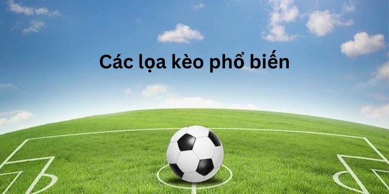 Tìm hiểu về các loại kèo thường gặp