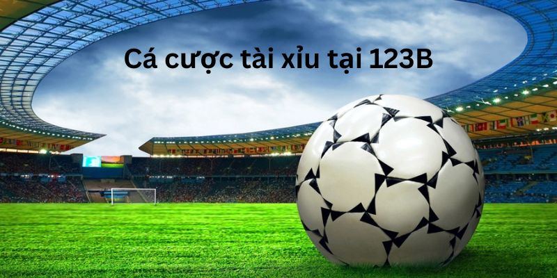 Soi kèo tài xỉu cùng nhà cái 123B