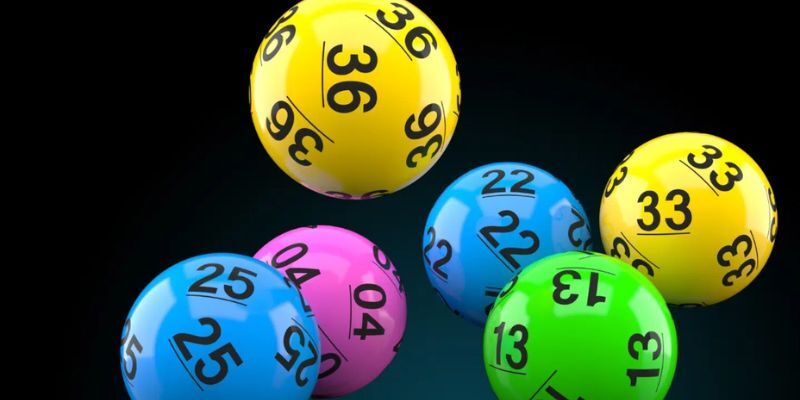 huong dan nuoi khung dung cach cho nguoi moi