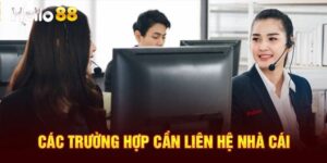 Live chat Hello88 hỗ trợ người chơi 24/7, phản hồi nhanh chóng